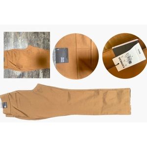 Express high waist pant
